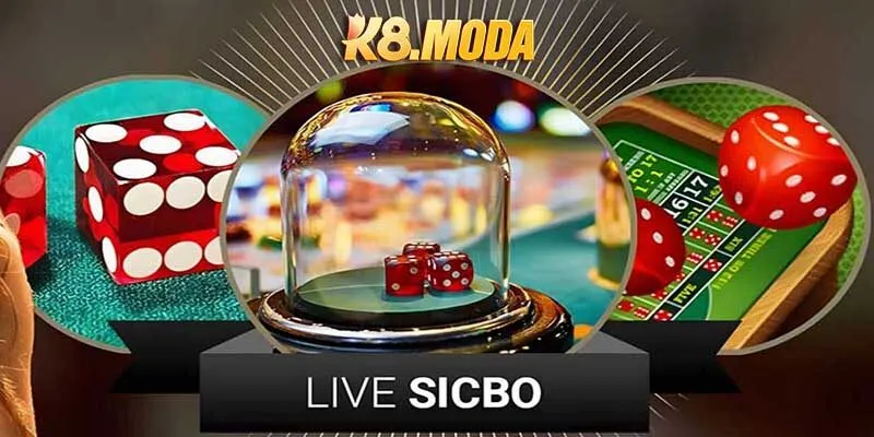 Kinh Nghiệm Chơi Sicbo Cùng K8 Nên Đặt Cược Ở Đâu Ăn Đậm