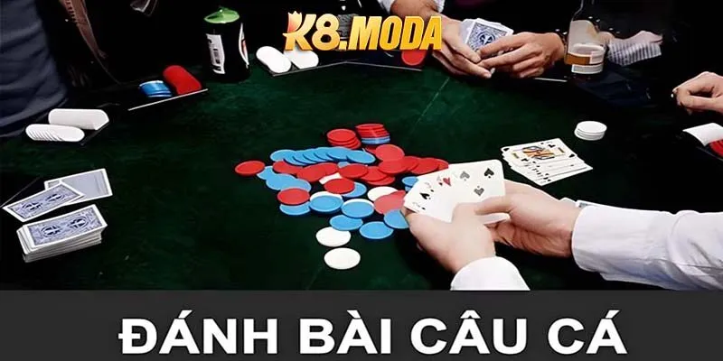 Cách Chơi Bài Câu Cá Cực Hot Hiện Nay Cùng K8